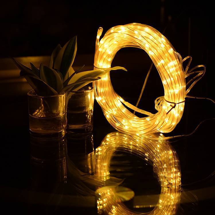 33FT LED Rope Light for Outdoor and Garden