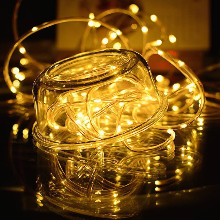 33FT LED Rope Light for Outdoor and Garden