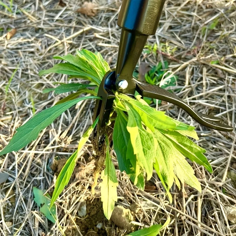 4-Claw Weed Root Extractor Tool Head