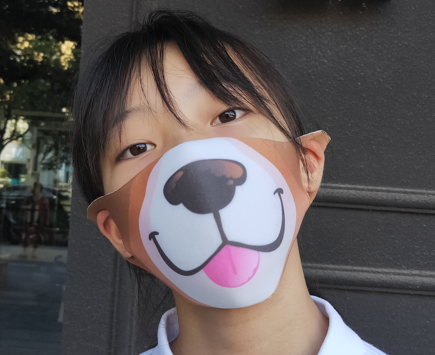 Kids Ninja Face Mask 4-Pack, Dragon Cat Dog Shark