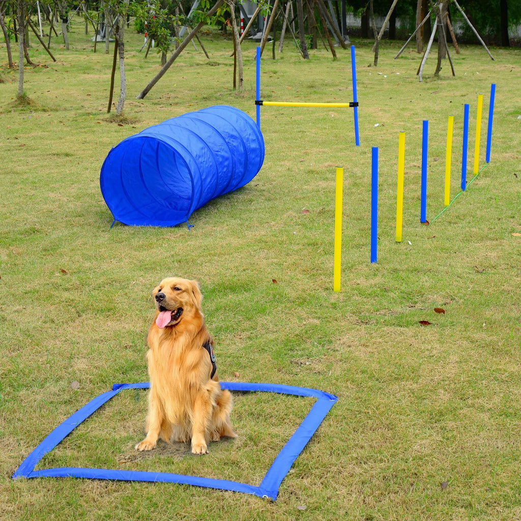 PawHut Dog Agility Training Starter Kit