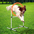 PawHut 2-in-1 Dog Agility Obstacle Tire