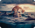 Cat Stalking a Shark Novelty Mouse Pad