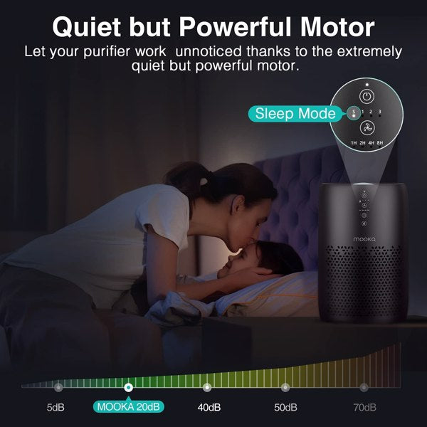 H13 HEPA Air Purifier for Large Rooms, True HEPA Filter