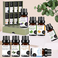 Essential Oil Set, 8-Piece