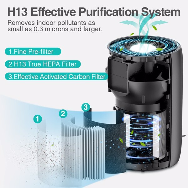 H13 HEPA Air Purifier for Large Rooms, True HEPA Filter